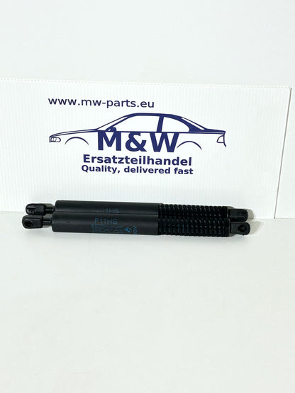 BMW 5er F10 F11 Gasdruckfeder Dämpfer Heckscheibe Set