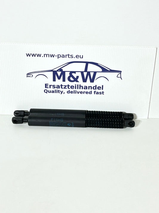 BMW 5er F10 F11 Gasdruckfeder Dämpfer Heckscheibe Set
