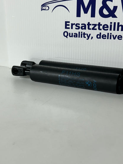 BMW 5er F10 F11 Gasdruckfeder Dämpfer Heckscheibe Set