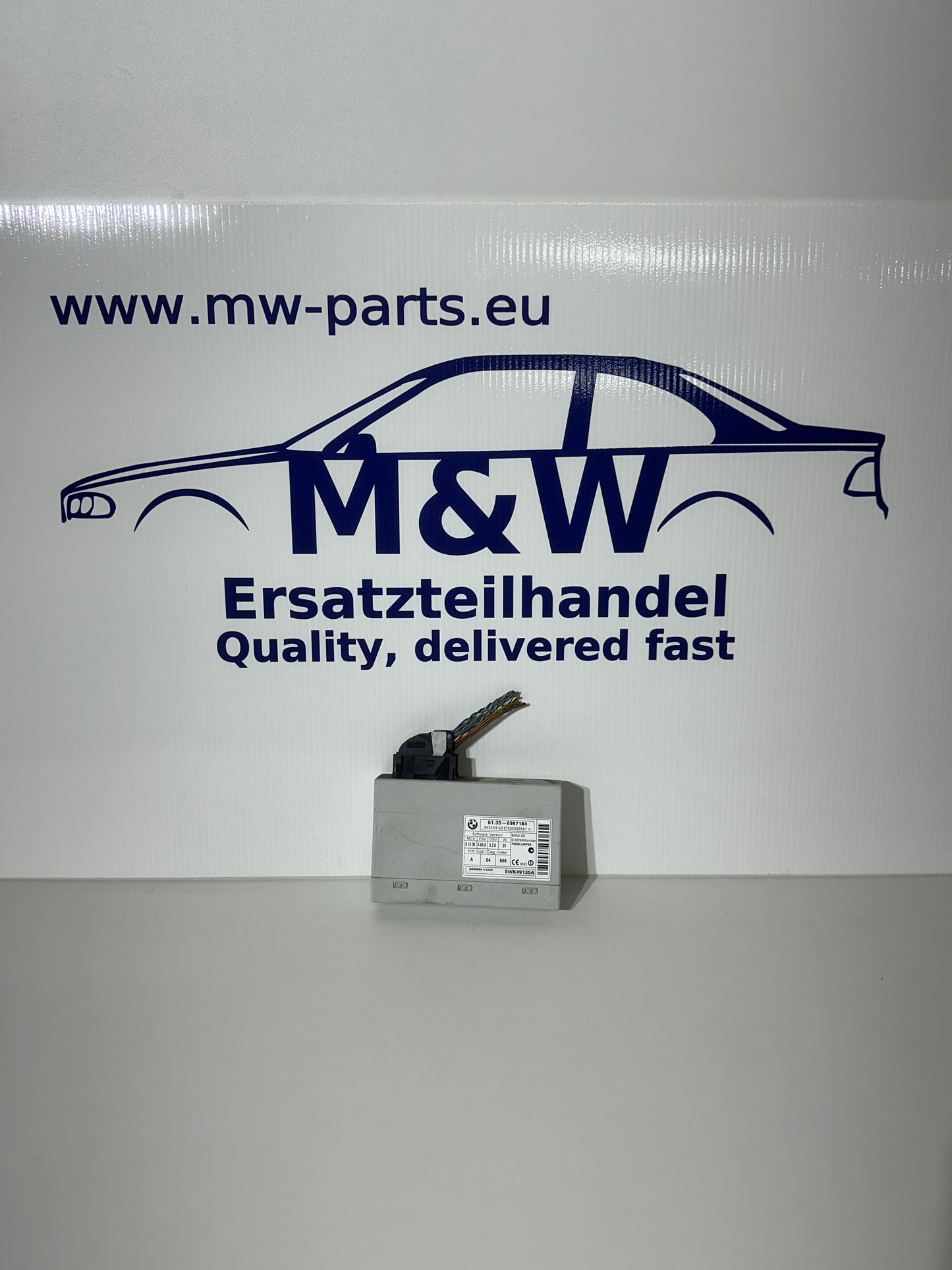 BMW E9x Passive Go Steuergerät II